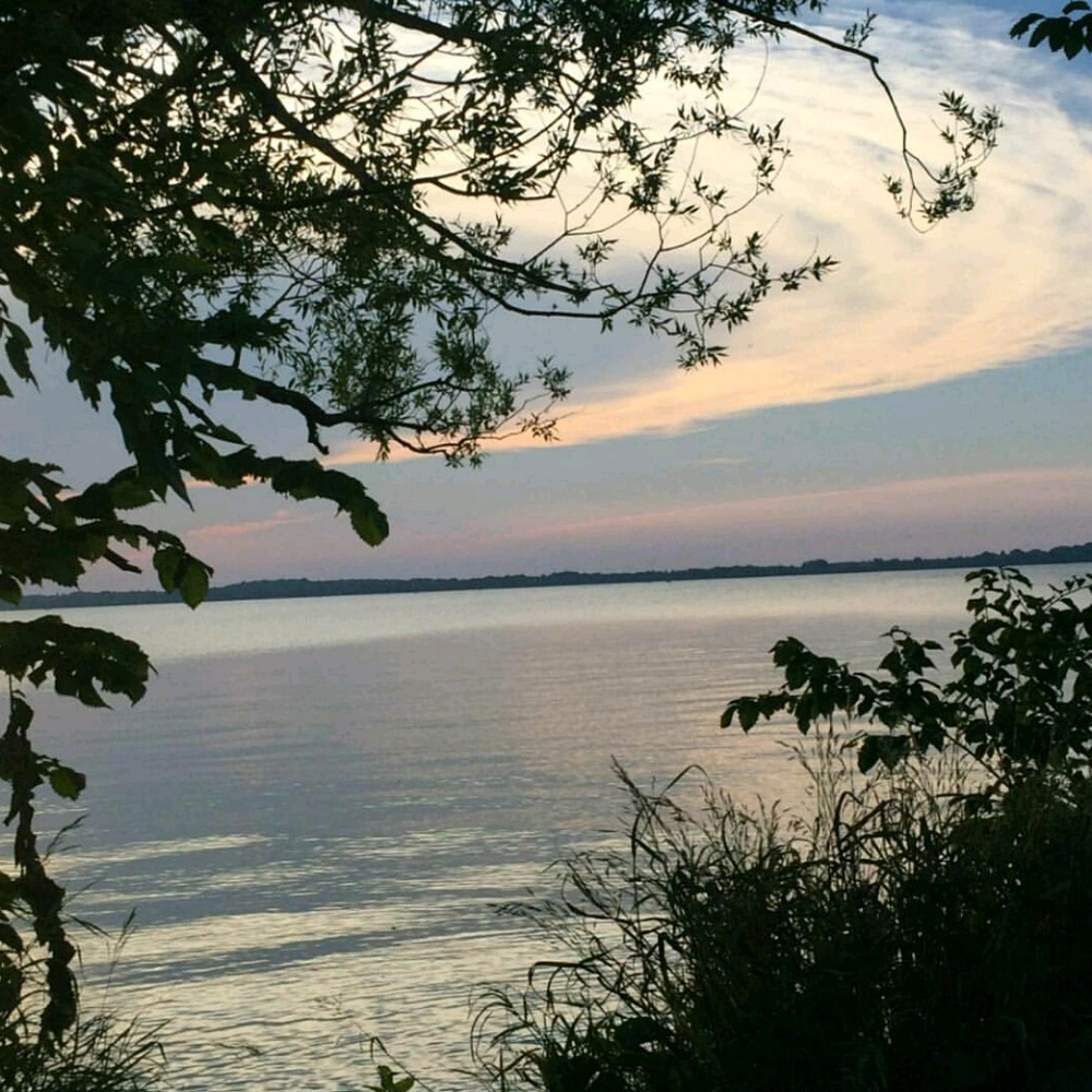 Meet your Posher, Evelyn